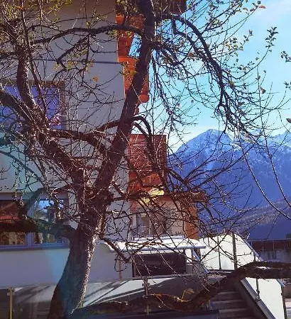 Berge Leben